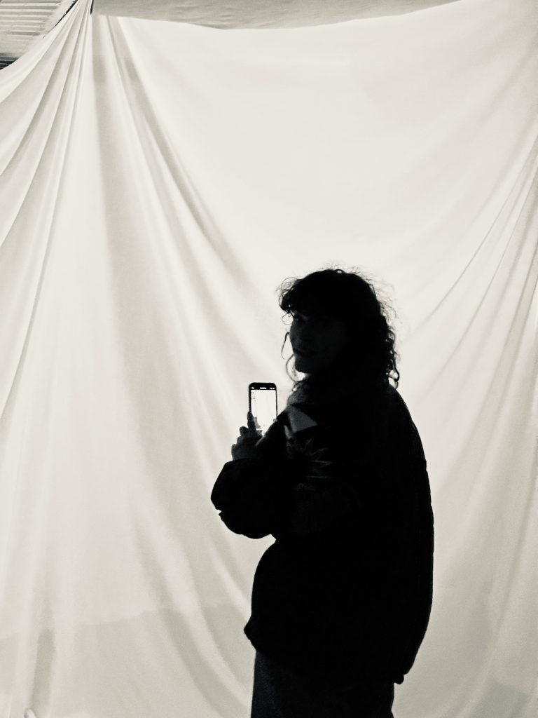 artist Francine Meerveld photographing her installation